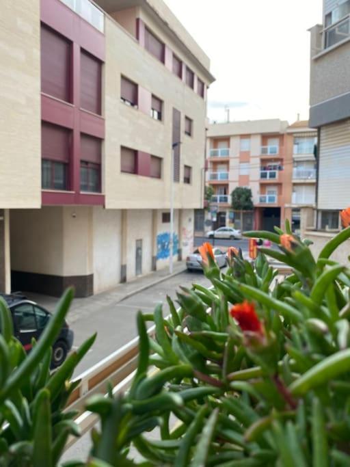 Voulez Vous Numero Uno San Pedro del Pinatar Eksteriør bilde